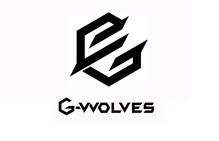 موس G-Wolves HT-S2 Pro